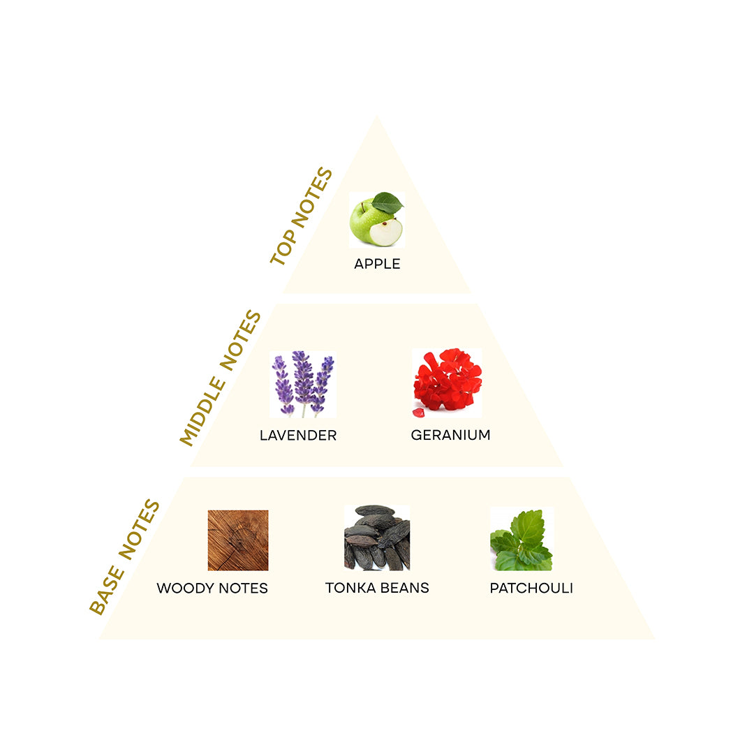 Pyramid Base Notes Perfume Sere Nothing Extrait De Parfum SE2166